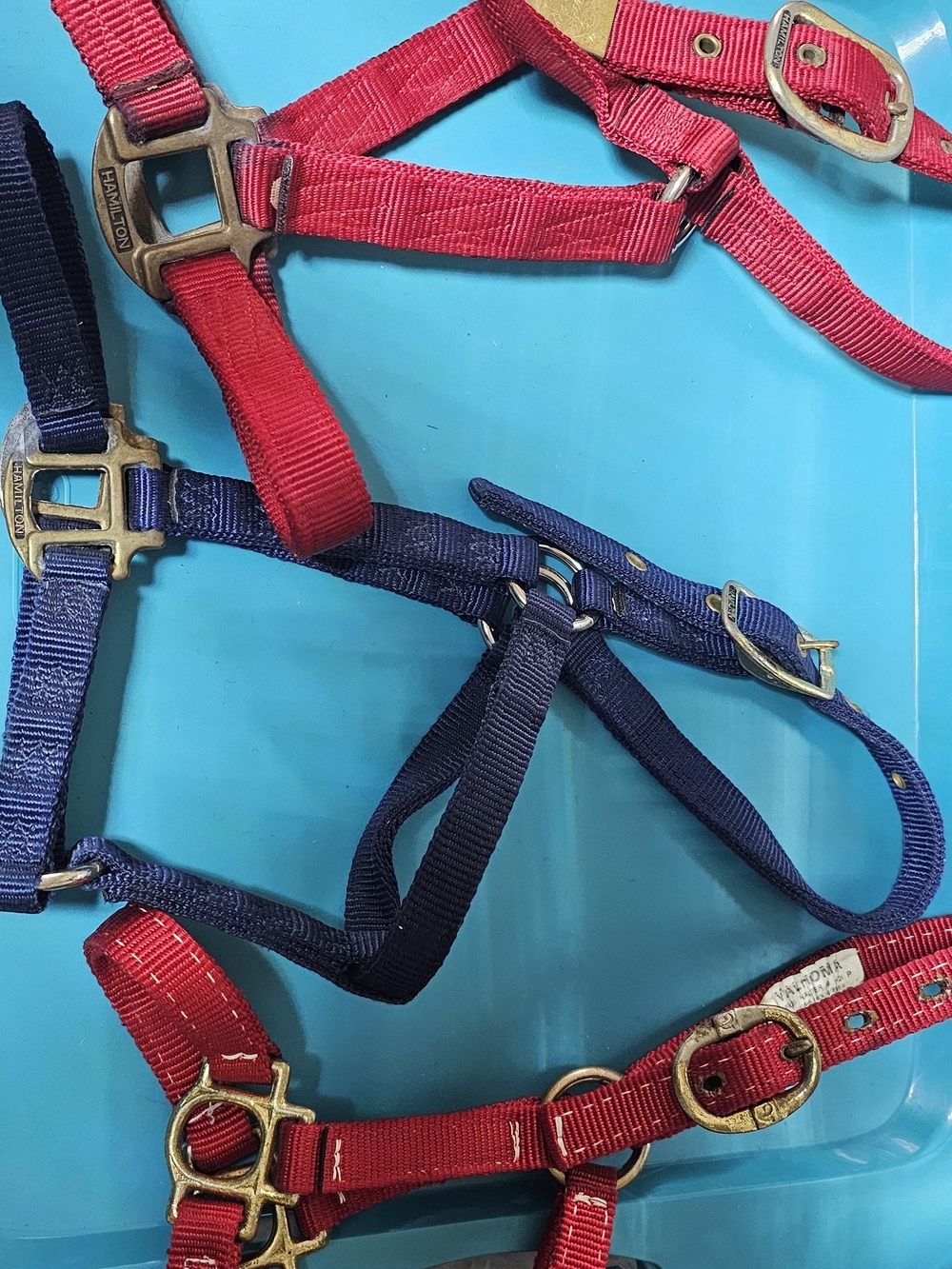 Lot of 3: Hamilton Red & Valhoma Navy Blue & Red Nylon Horse Halters